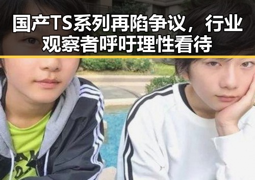 国产TS系列再陷争议,行业观察者呼吁理性看待